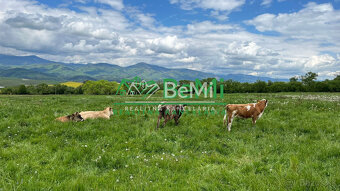 Pozemky Brezno-Podkoreňová s perspektívou a krásnym výhľadom - 20