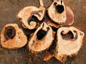 Koláče -  orechové drevo, fošne, rezivo - 20