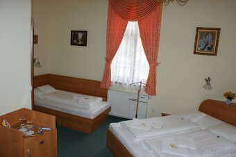 AREÁL PRE PENZIÓN, SVADBY, KONGRESY, KLINIKA - 20