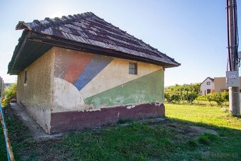 Na predaj pivničný dom v obci Svätý Peter - 20