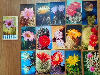 Knihy - kucharky,bylinky,kvety,zahradkari - 20