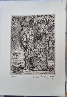 Peter Kľúčik - grafiky. - 20