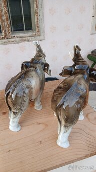 Sošky royal dux. - 20