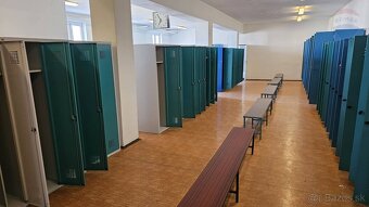 Prenájom výrobnej haly s mostovým žeriavom na 8 a 5 ton v Ni - 20