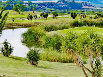 Španělsko Alicante,v blízkosti Torrevieja a golfového hřiště - 20