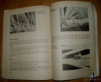 Včelarství - 20