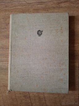 Retro hokejová kniha - 20