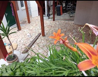 HĽADÁME ZÁKAZKY 👷‍♂️ - 20