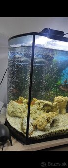 Predám panoramatické akvárium 200l, komplet alebo zvlášť - 20