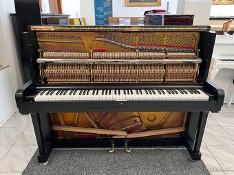 Steinway &Sons se zárukou 2 roky, doprava zdarma. - 20