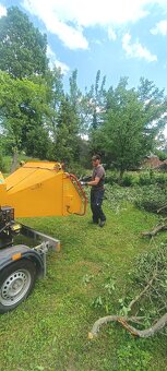 Hromo Team-Rizikové orezávanie a výruby stromov - 20