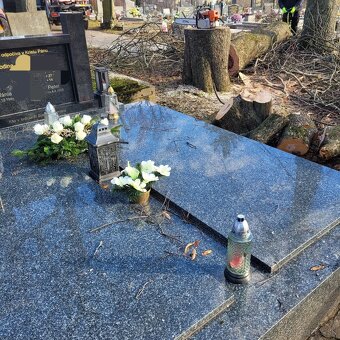 Rizikové rezanie stromov - 20