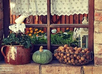 Starý drevený okenný rám - 20