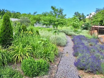 Na predaj krásna chalupa neďaleko Šturova v obci Divá - 20