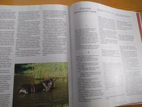 Obrazová encyklopedie koní (česky) - 20 eur - 20