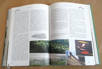 Rybárstvo – Lov dravých rýb na prívlač - 20