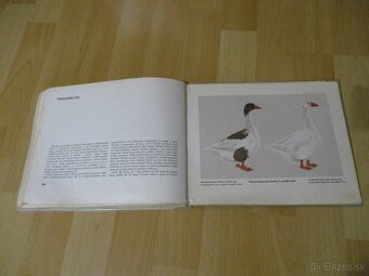 Atlas plemien hydiny - 20