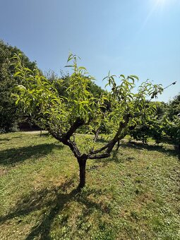 Štýlová chata na predaj. - 20