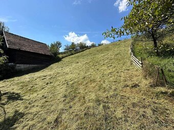 kosenie trávy,strihanie stromčekov- detail Grasscare - 20
