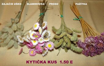 SUŠENÉ KVETY, ŠIŠKY , ŹALUDE, LIESKA, GAŠTAN do dekorácií - 20