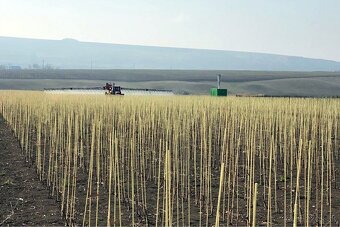 Kompozitne Roksory - 20