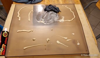 Lineárny gramofón Nordmende RP 1651 - po plnej renovácii - 20