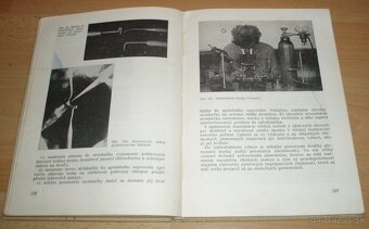 Chov včelích matiek - 20