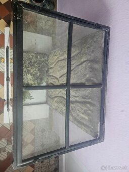 Terárium - 2