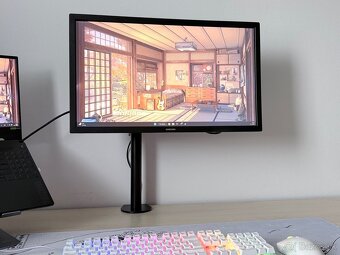 Monitor Samsung S24A310NH - 2