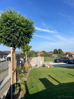 Záhradnícke práce - 2