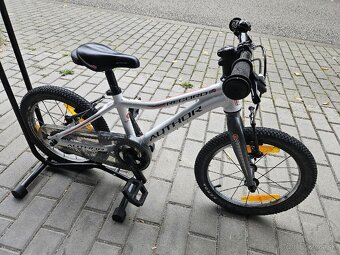 Author record 16" - 2