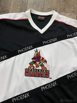 Phoenix Coyotes - 2