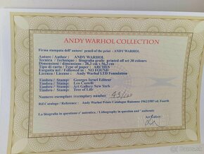 Andy Warhol - Macintosh (49/100) - 2