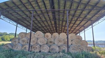 Lúčne seno - 2