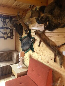 Chatka na predaj - 2