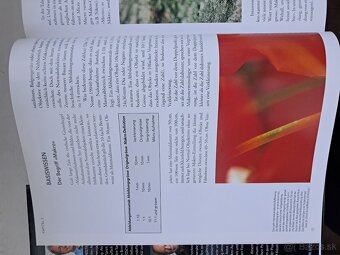 MAKRO FOTOSCHULE - 2