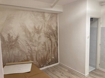 Obchodny priestor Samorin 22m2 - 2