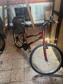 Bicykel Piranha - 2