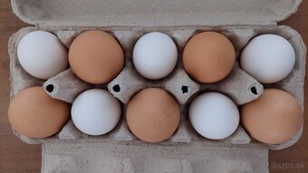 🥚 Predám domáce vajcia z voľného chovu - 2
