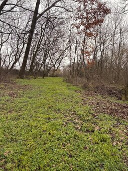 1450m2 POZEMOK TRÁVNICA - 2