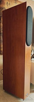 ASW genius reference 300 - 2