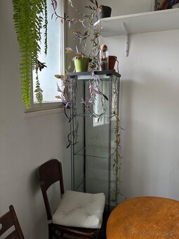 Grow light LED vitrina - 2