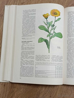 Knihy - Liečivé rastliny - 2