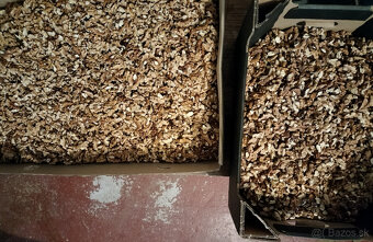 vlašské orechy - 2