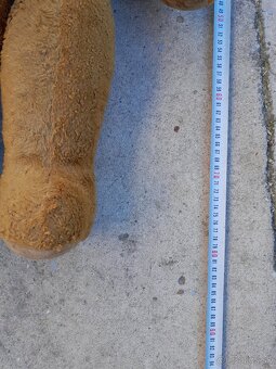 Predám 70 ročného medveďa - 2