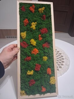 Machový obraz Lúka - 2