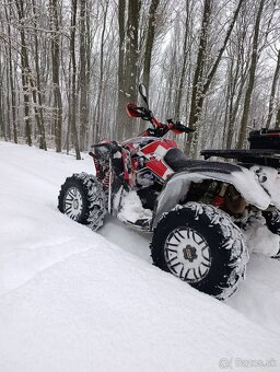 Can am renegade 650xxc - 2