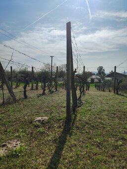 Pozemok v srdci vinárskej obci Moča, KN Lepšia cena - 2
