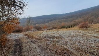 pozemok vinohrad Hrušov - 2