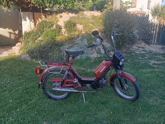 Babeta 219 - 2